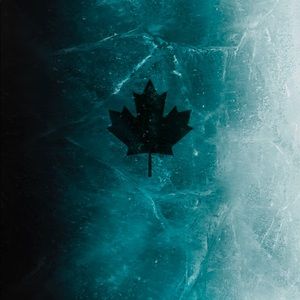 Meet your Posher, Lucas